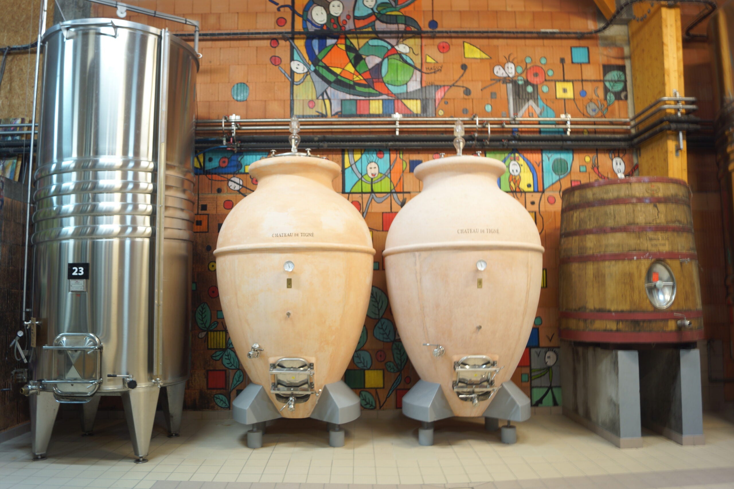 Amphores de syrah au Château de Tigné de Gérard Depardieu